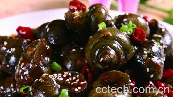 果蔬百科田螺的药用价值-0