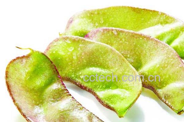 果蔬百科扁豆的营养价值及功效 扁豆的好处-0