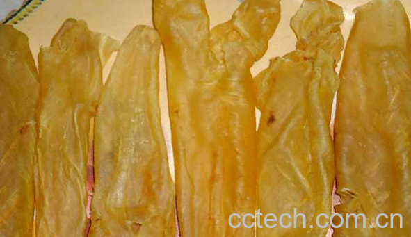 果蔬百科鱼胶的功效与作用-0