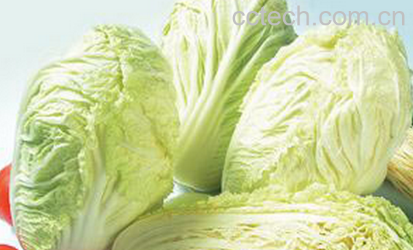 果蔬百科吃白菜要注意什么-0