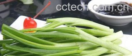 果蔬百科四季葱的功效和作用 吃四季葱的好处-0