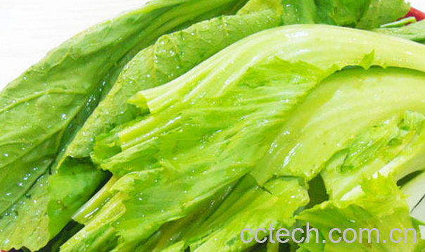 果蔬百科芥菜的营养价值与功效-0