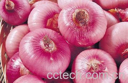 果蔬百科洋葱对前列腺的好处-0