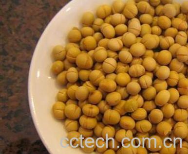 果蔬百科黄豆会变质吗 黄豆变质是什么样-0