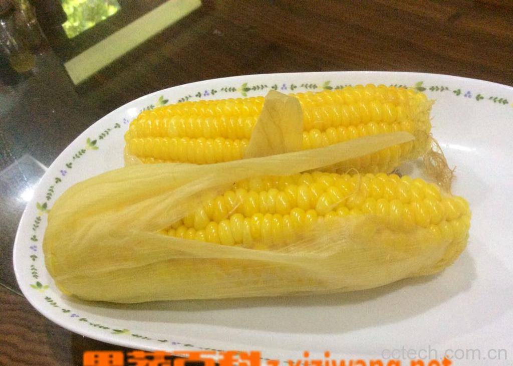 果蔬百科煮玉米的做法大全-0