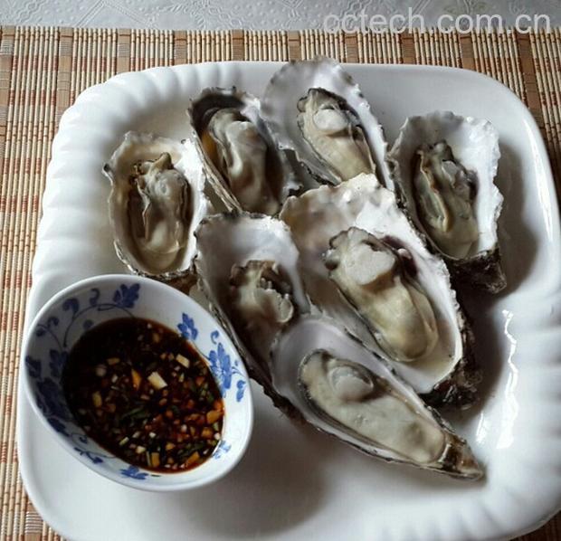 果蔬百科海蛎子的做法-0