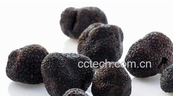果蔬百科黑松露的功效与作用-0