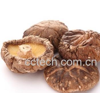 果蔬百科珍珠菇的做法-0