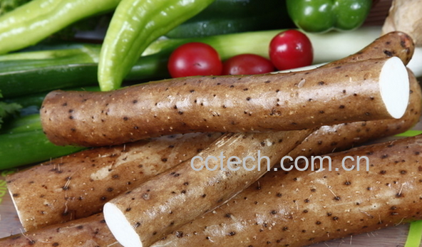 果蔬百科淮山药的营养价值与功效-0