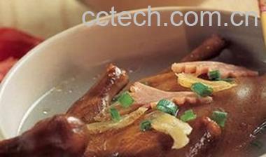 果蔬百科鸽子的功效与作用-0