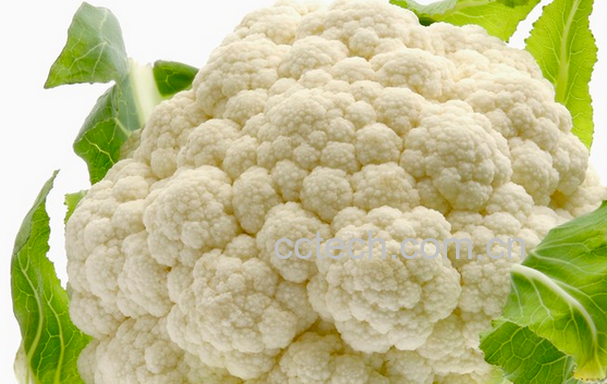 果蔬百科花椰菜的功效与作用-0