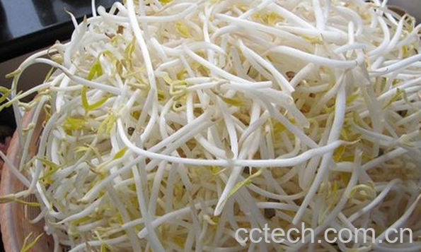 果蔬百科绿豆芽的功效与作用-0