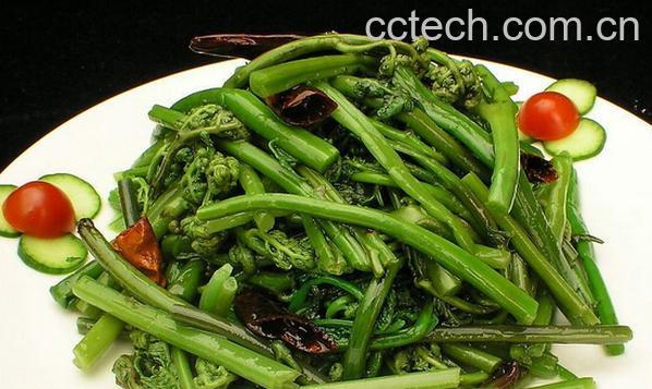 果蔬百科刺五加的营养价值与吃法-0