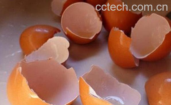 果蔬百科鸡蛋壳的家庭妙用-0