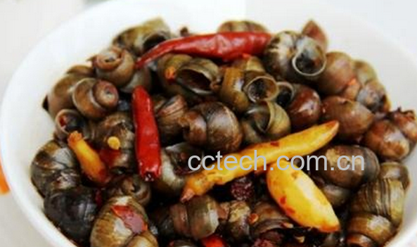 果蔬百科吃田螺的好处-0