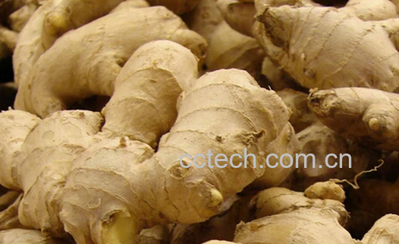 果蔬百科生姜泡脚的好处-0