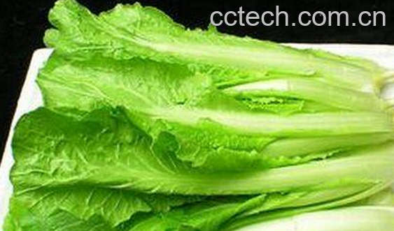 果蔬百科小白菜的营养价值-0