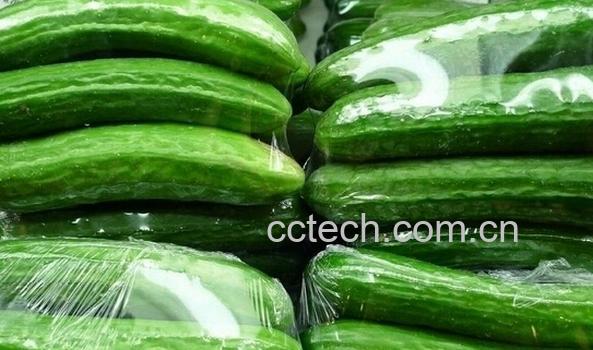 果蔬百科小乳瓜图片 小乳瓜营养价值-0