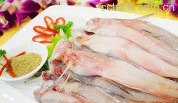 果蔬百科龙头鱼的营养价值与功效-0