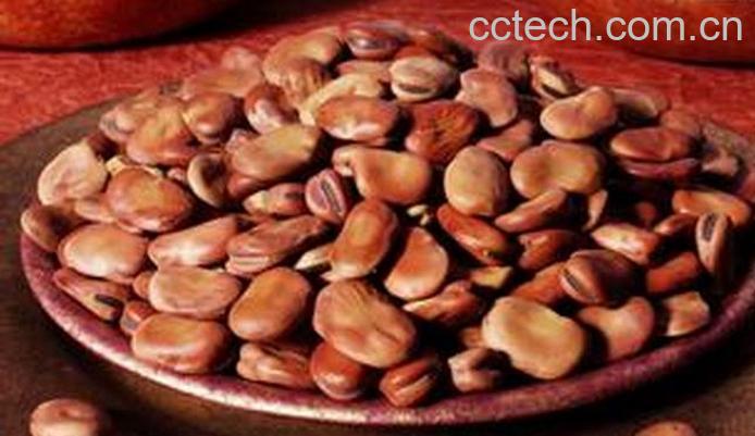 果蔬百科干蚕豆怎么吃-0