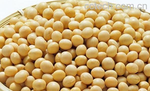 果蔬百科吃黄豆的好处-0