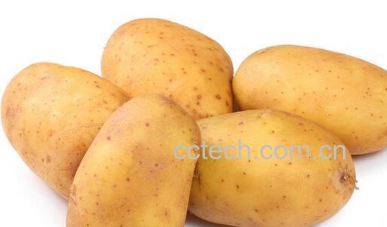 果蔬百科土豆能养胃-0