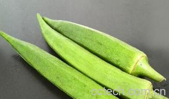 果蔬百科吃黄秋葵的好处-0