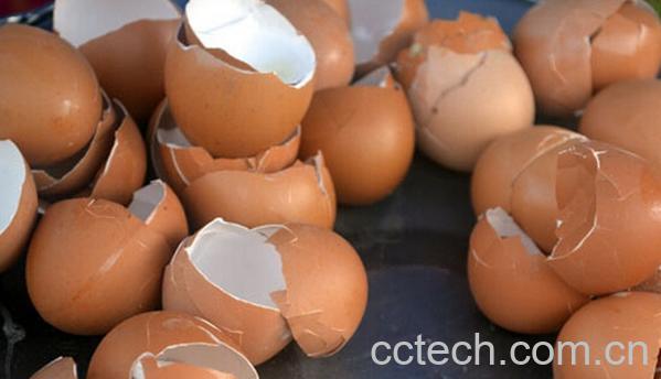 果蔬百科鸡蛋壳的功效与作用-0