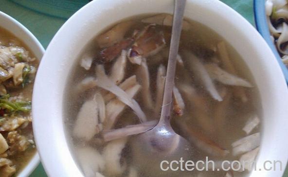 果蔬百科鸡枞菌的做法大全-0