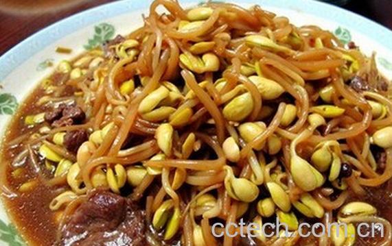 果蔬百科黄豆芽炒肉怎么做好吃-0