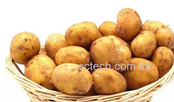 果蔬百科土豆皮的功效与作用-0