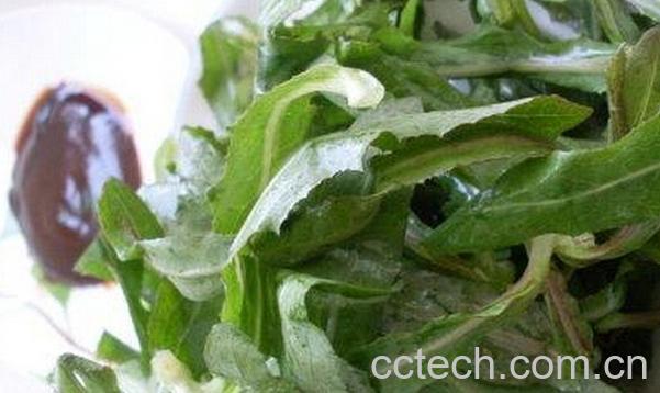 果蔬百科苦菜的常见吃法-0