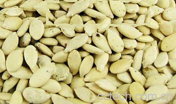 果蔬百科冬瓜籽的功效与作用-0