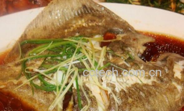 果蔬百科比目鱼怎么做好吃-0