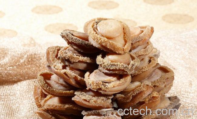 果蔬百科鲍鱼的营养价值有哪些-0