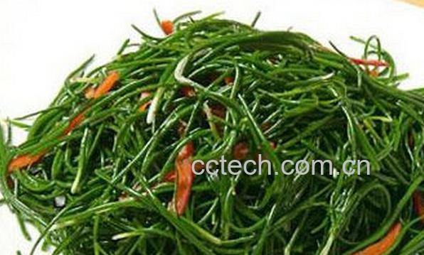 果蔬百科沙葱的功效与作用-0