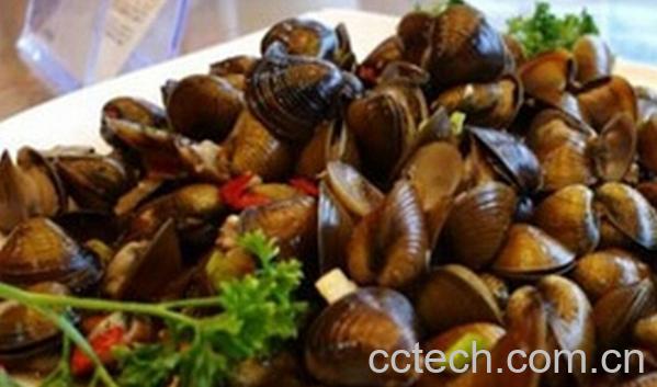 果蔬百科河蚬怎么做好吃-0