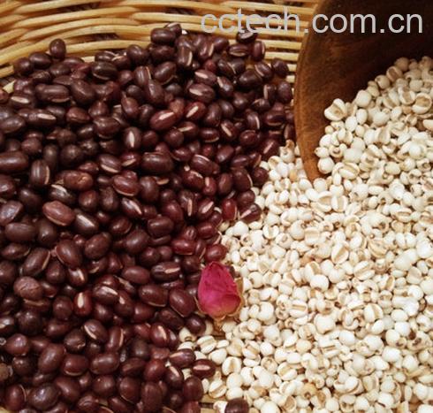 果蔬百科体内湿气重怎么办-0