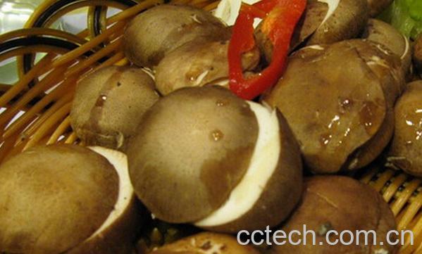 果蔬百科冬菇的功效与作用-0