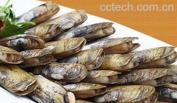 果蔬百科蛏子的做法大全-0