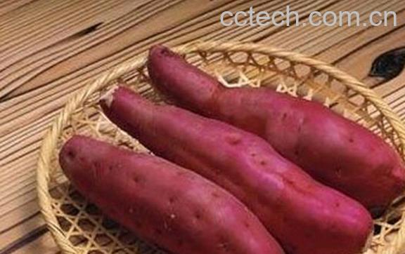 果蔬百科地瓜不能和什么一起吃-0