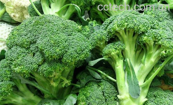果蔬百科吃西兰花的好处-0
