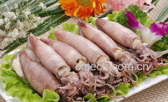 果蔬百科海兔的营养价值与功效-0