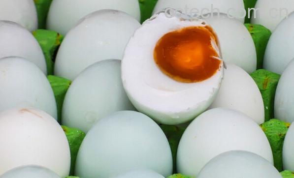 果蔬百科鸭蛋的功效与作用-0