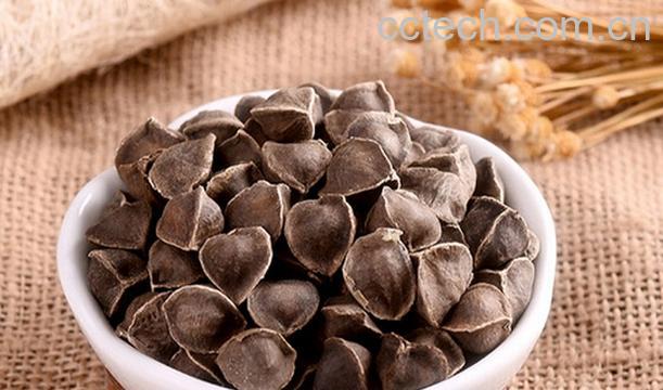 果蔬百科辣木籽的功效与作用-0