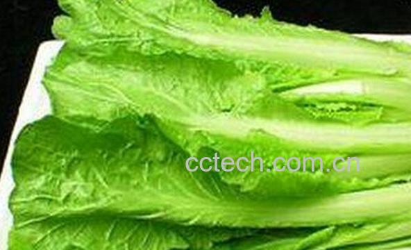 果蔬百科哪些蔬菜能抗癌-0