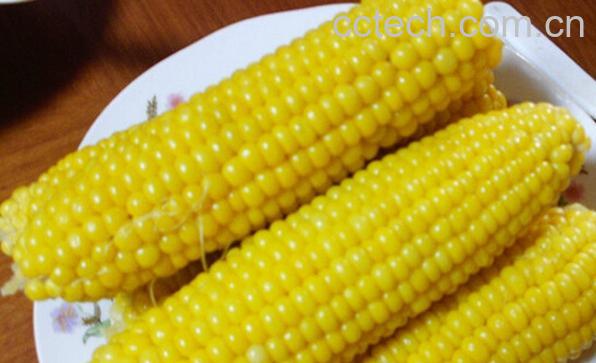 果蔬百科水果玉米的常见吃法-0