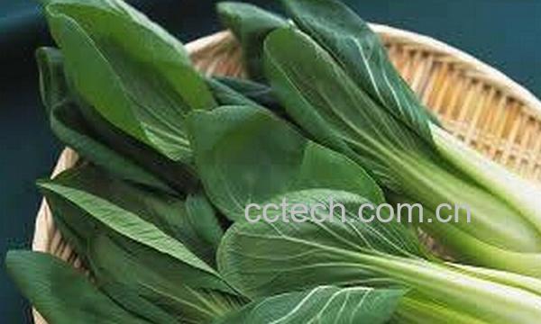 果蔬百科孩子补钙吃什么蔬菜好-0