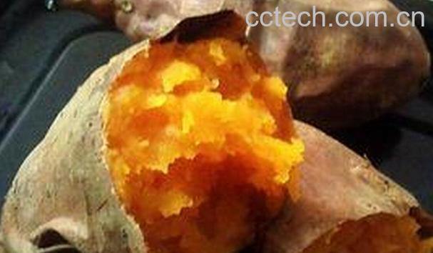 果蔬百科如何用烤箱做烤红薯-0