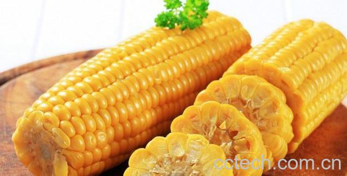 果蔬百科吃玉米的好处 了解玉米好处-0